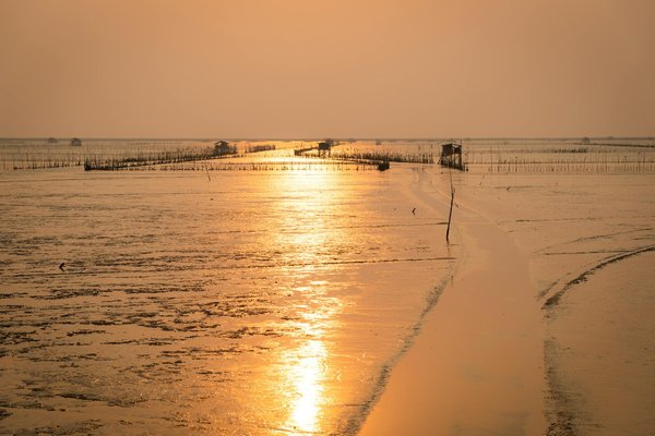 Où pratiquer le snorkeling au milieu des raies manta à Hawaii ?